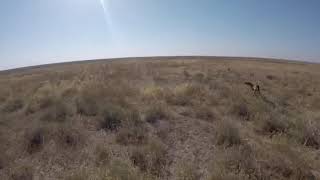 playtube pk ultimate video sharing website