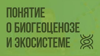 Понятие о биогеоценозе и экосистеме. Видеоурок по биологии 9 класс