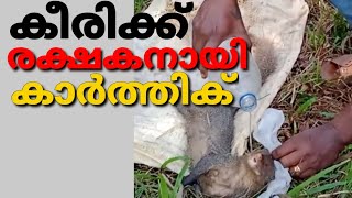 ഇതാണ് നന്മ; കീരിക്ക് രക്ഷകനായി കാർത്തിക്/Mongoose/Car Accedent/Perladukkam/Kasaragod/Karthik