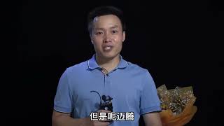 迈腾跟雅阁怎么选，谁才是B级车之王？先看一下对比#汽车人共创计划