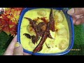 ଦହି ପକୁଡ଼ି dahi pakudi recipe how to make dahi pakudi kadhi pakoda odia recipe