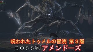 [Bloodborne ブラッドボーン] BOSS戦「アメンドーズ」 呪われたトゥメルの聖杯第三層