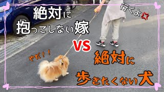 お散歩嫌いなポメラニアンvs絶対に抱っこしない嫁【ほこたて】