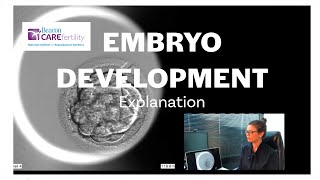 Embryo Developing from Day 1 to Day 5, explained by Sharon Corcoran from Beacon CARE Fertility.