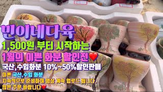 민이네다육/이쁜 국산,수입 화분 10~50% 할인판매합니다❤️ 새로운 멋진분이 들어왔으니 많은 시청과 주문 바랍니다/문자주문 010-6863-0625