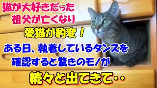 #129【猫の不思議な話】猫が大好きだった祖父が亡くなった すると、うちの猫が豹変 ある日あまりにもタンスの取っ手をガリガリするので確認すると驚きのモノが出てきて・・