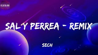 Sech -Sal y Perrea - Remix(letra)