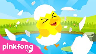 The Duck Song | Farm Animals | Nursery Rhymes for Kids | Animal Songs | Pinkfong Songs