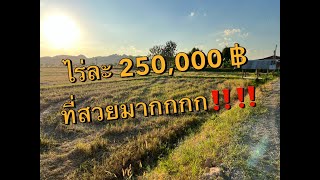 (ปิดการขาย) ถูกมาก!!! ไร่ละ 250000 บาท ที่ดินสวย #ขายที่ดิน #ที่ดินราคาถูก #อสังหาริมทรัพย์