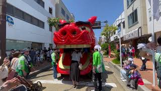 Singa besar　 大獅子の桜ちゃんで獅子パックン！　酒田まつりにて　2023年5月20日  IMG 1827