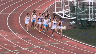 第49回東京六大学陸上 800m 決勝