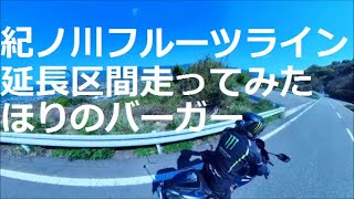 CBR400Rで行く！紀ノ川フルーツライン延長区間　ほりのバーガー