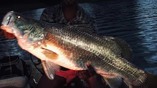 Tinaroo Dam Barramundi Fishing