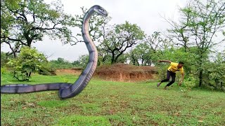 Anaconda🐍 Snake 3 In Real Life Hd Video