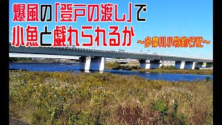 【小物釣り】多摩川小物釣行記②