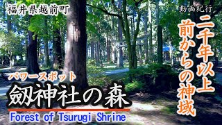 2000年以上前からの神域～パワースポット「劔神社の森」～越前町【動画紀行・福井県】Forest of Tsurugi Shrine