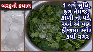 કોથમીરને લીલી રાખવાની રીત | ફ્રીઝમા રાખ્યા વગર બહાર ૧ મહીના સુઘી લીલી રાખવાની રીત | Coriander Tip