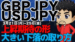 【FXポンド円ドル円相場分析】大きな下落の取り方｜買いの優位性が出るチャートパターン｜強い流れに乗った戦い方｜パワーバランの見極め｜意識されてくる抵抗帯｜3月20日(日)為替チャート分析