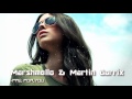 Download Marshmello Martin Garrix Fall For You New Song 2017 UNOFFICIAL mp3