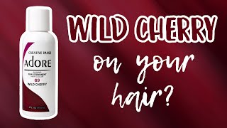 Adore WILD CHERRY | Hair Swatches