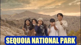 [미국 LAS패밀리의 일상]💕👉”가족여행” SEQUOIA NATIONAL PARK❤️ 세쿼이야 국립공원 “ 작가님이 찍어준 사진도 있구~ 다시 가고싶다~