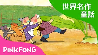 【日本語字幕付き】 The Great Big Turnip | 大きなかぶ 英語版 | 世界名作童話 | ピンキッツ英語童話