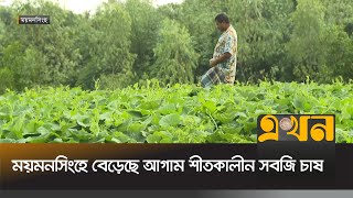 ময়মনসিংহে বেড়েছে আগাম শীতকালীন সবজি চাষ | Mymensingh News | Ekhon TV