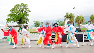 [4K] 薩摩源氏蛍 【YEG賞受賞披露演舞】　かごしま春祭大ハンヤ 2022 2日目　メイン会場(ドルフィン跡) (中央)