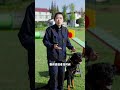 面对悍匪狗狗该怎么做 知识创作人 训犬 狗狗 宠物知识