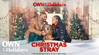 "A Christmas Stray" | Full Movie | OWN For the Holidays | OWN
