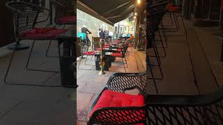 Shisha Time Mayfair London #mayfair #london #shisha #shishatime #travelvlog #traveldestinations