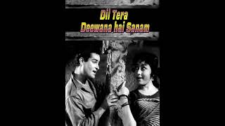 Dil tera Deewana hai|दिल तेरा दीवाना है|songs: Shammi kapoor, Mala sinha |Lata Mangeshker, mohd rafi
