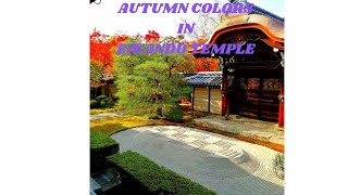 Eikando Temple - The Most Beautiful Autumn Colors in Japan