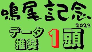 【鳴尾記念2023】ハイレベルメンバー集結の混戦模様！先行か差しか、コース適性レース適正データが真逆の展開次第な難解レース