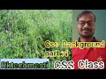 Css Background colour | Css Background | Css Tricks | Css Tips 