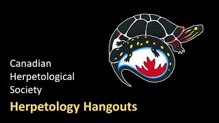 Herpetology Hangouts | August 18, 2021 | Scholarships Workshop