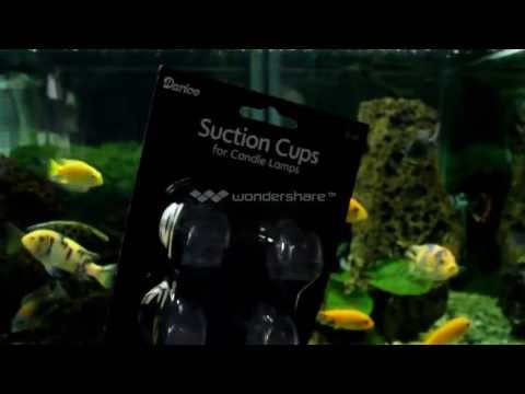 Are Your Suction Cups on Filter Intake Tubes Failing? Are Your Suction Cups on Filter Intake Tubes Failing?