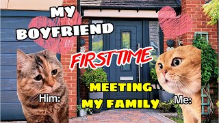 CAT STORIES | MY BOYFRIEND FIRST TIME MEETING MY FAMILY