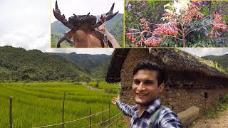 HAIPI CLEAN VILLAGE near My Father's Birth Place | Kangpokpi, Kalapahar | Motovlog | My Dream Life