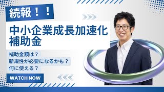 【続報！】中小企業成長加速化補助金！中小企業成長加速化補助金についての重要な情報を補助金のプロが解説！