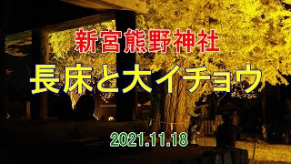 20211118新宮熊野神社～長床と大イチョウ