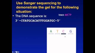 Sanger Sequencing Exercise
