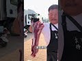 这两刀五花肉和前腿肉大家看嘎的怎么样，漂亮不 猪肉 东北 赶集