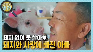 [생활의 발견] 돼지 없이 못 살아♡ 돼지와 사랑에 빠진 아빠 | KBS 210726 방송