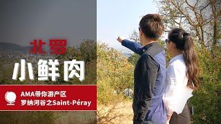 Saint-Péray-AMA Wine Study Tour Rhone Valley-AMA带你游产区之罗纳河谷系列 [ENG SUB]