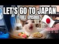 CAT MEMES: FAMILY VACATION COMPILATION EP.2