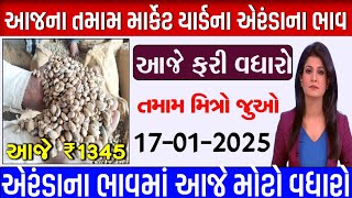 Arenda na bhav| 17/01/2025 | આજના બજાર ભાવ | એરંડા નો ભાવ | commodity Trend #Arendanabhav