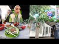 PENANG TRIP PART 2 | Entopia 🦋