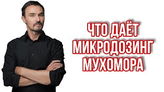 Срочно! #МИКРОДОЗИНГ МУХОМОРА | Главный Плюс! Это знают 5% людей