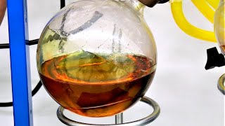 Inside a Cannabis Lab - CannaSphere Shorts